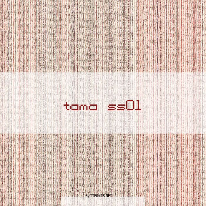 tama ss01 example
